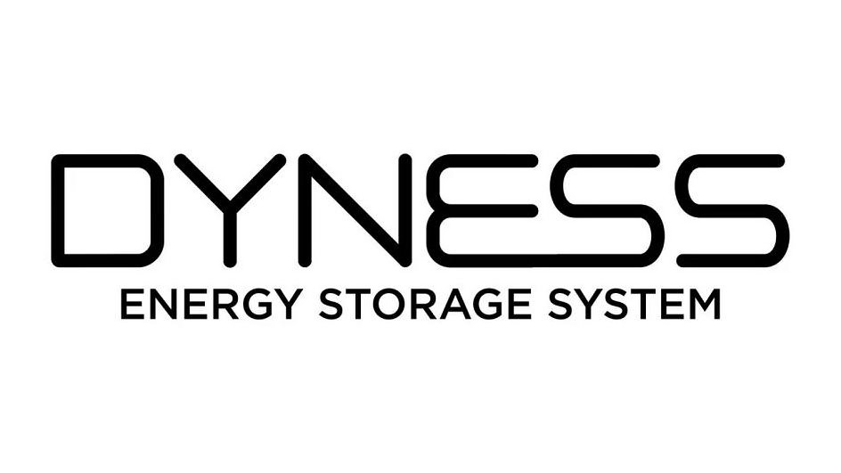 Logo dyness